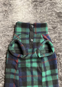 Kiwi - Tartan