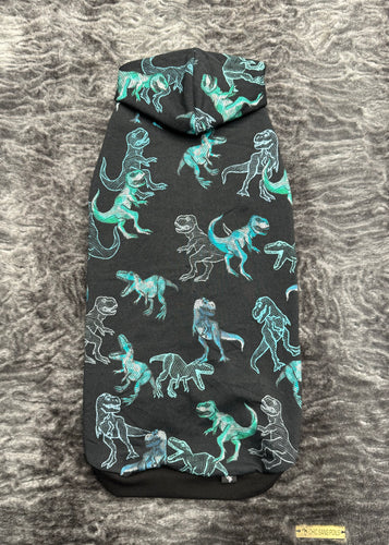 Cotton Hoodie (thinner) - Dinosaurs