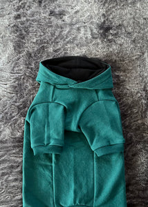 Hoodie de coton biologique - Teal