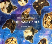 Load image into Gallery viewer, ECONOCHAT - Chats galactiques