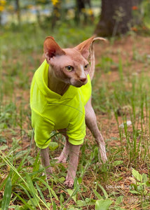 Hoodie manches longues  - NÉON Jaune