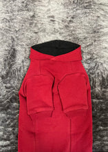 Load image into Gallery viewer, Hoodie de coton biologique - Rouge chili