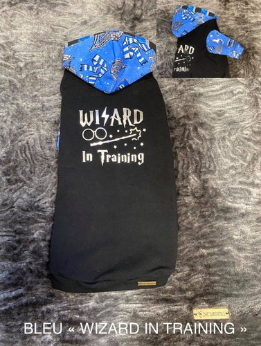 Long hooded sweater - WIZARD IN TRAINING blue