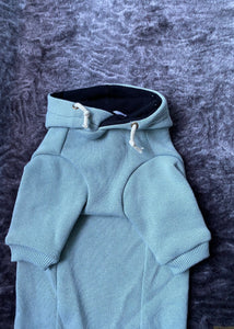 Long Sleeve Bamboo Hoodie - Eucalyptus