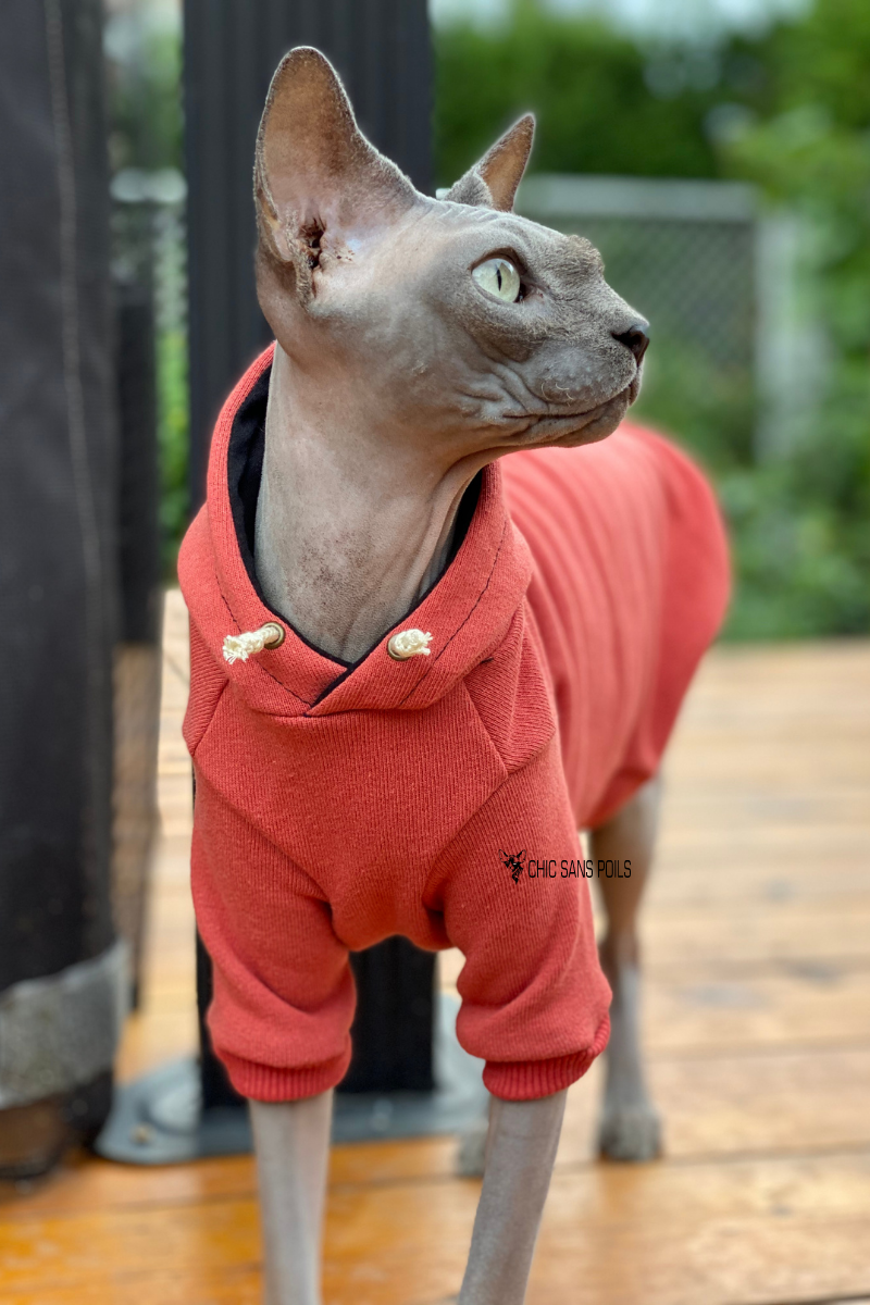 Hoodie manches longues en bambou - Orange brûlé